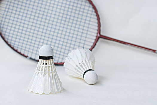 观众不仅可 观众不仅可