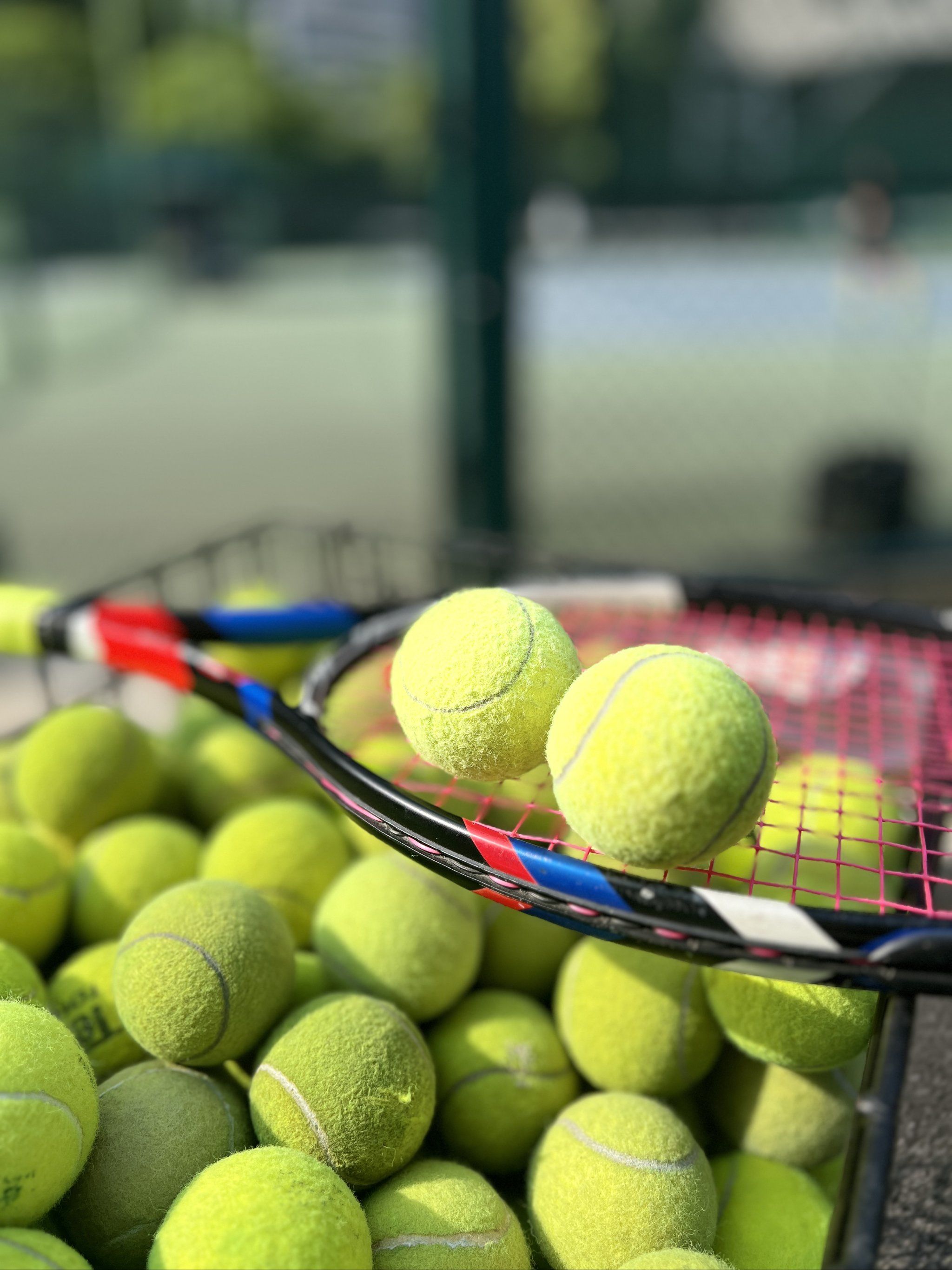 与之相反 与之相反