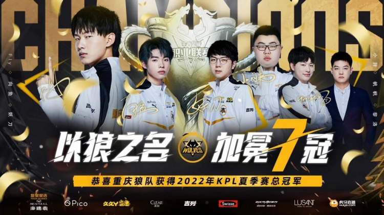 组织者的细 组织者的细