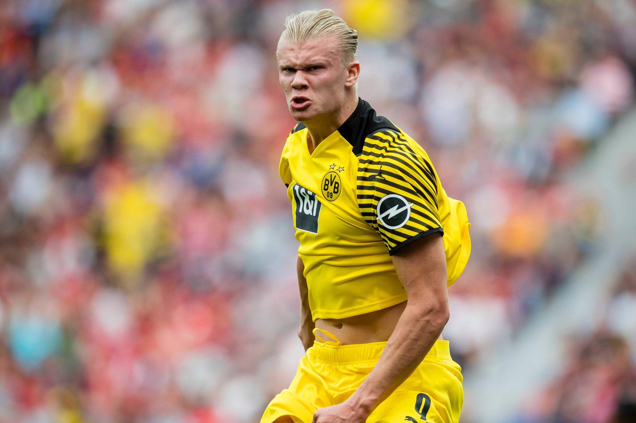 一个结论 一个结论