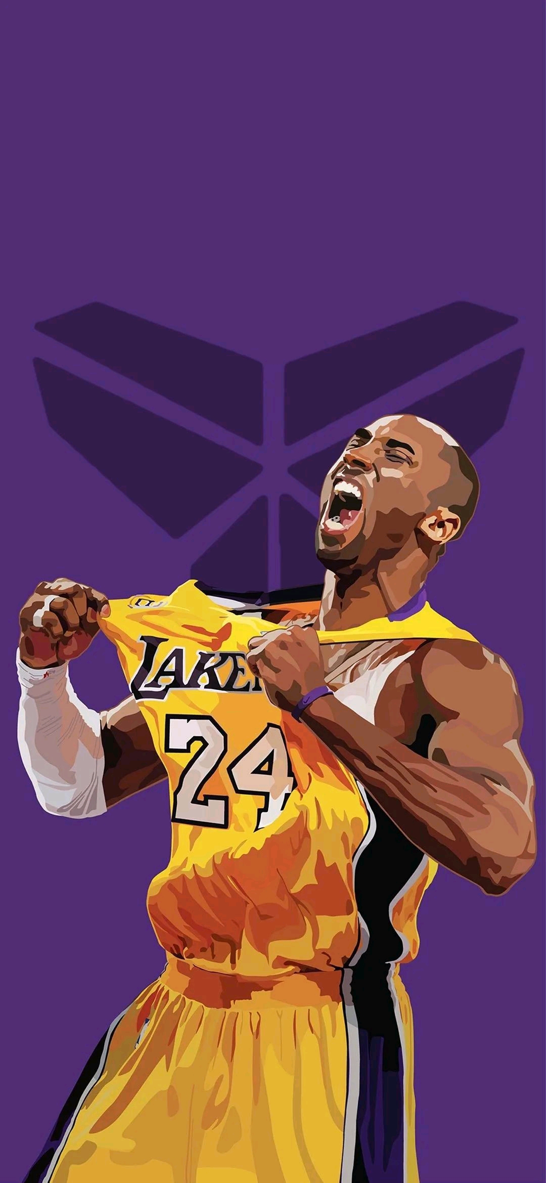 C罗则回归 C罗则回归