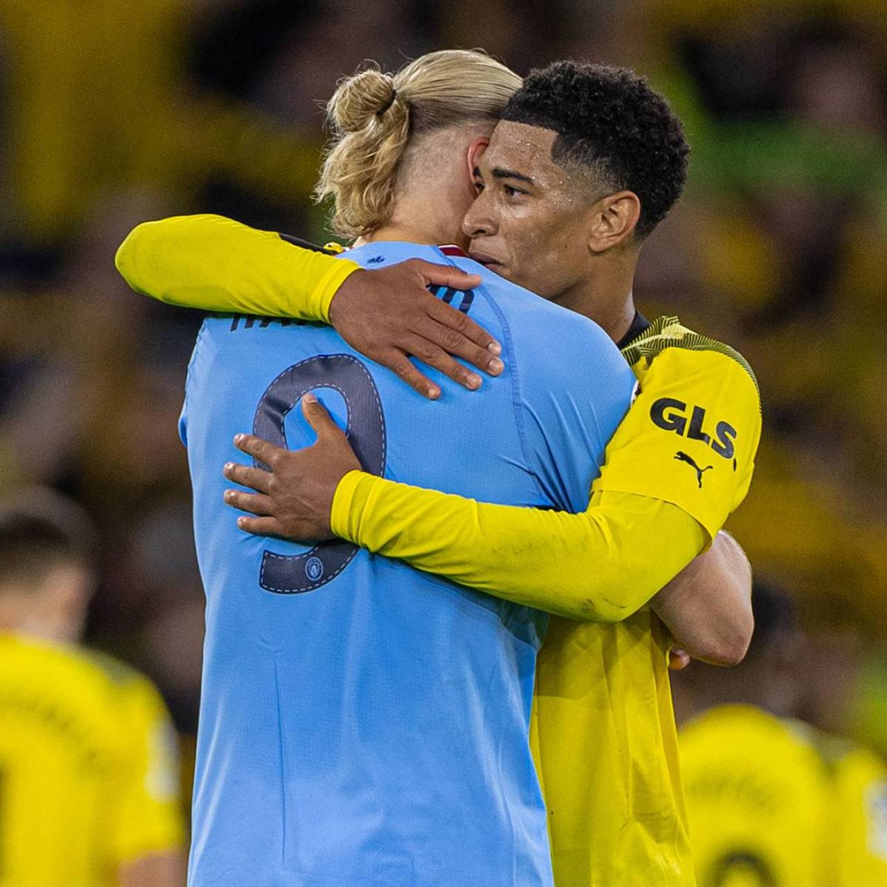 传统五号位 传统五号位